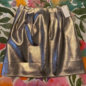 Silver Metallic Skirt